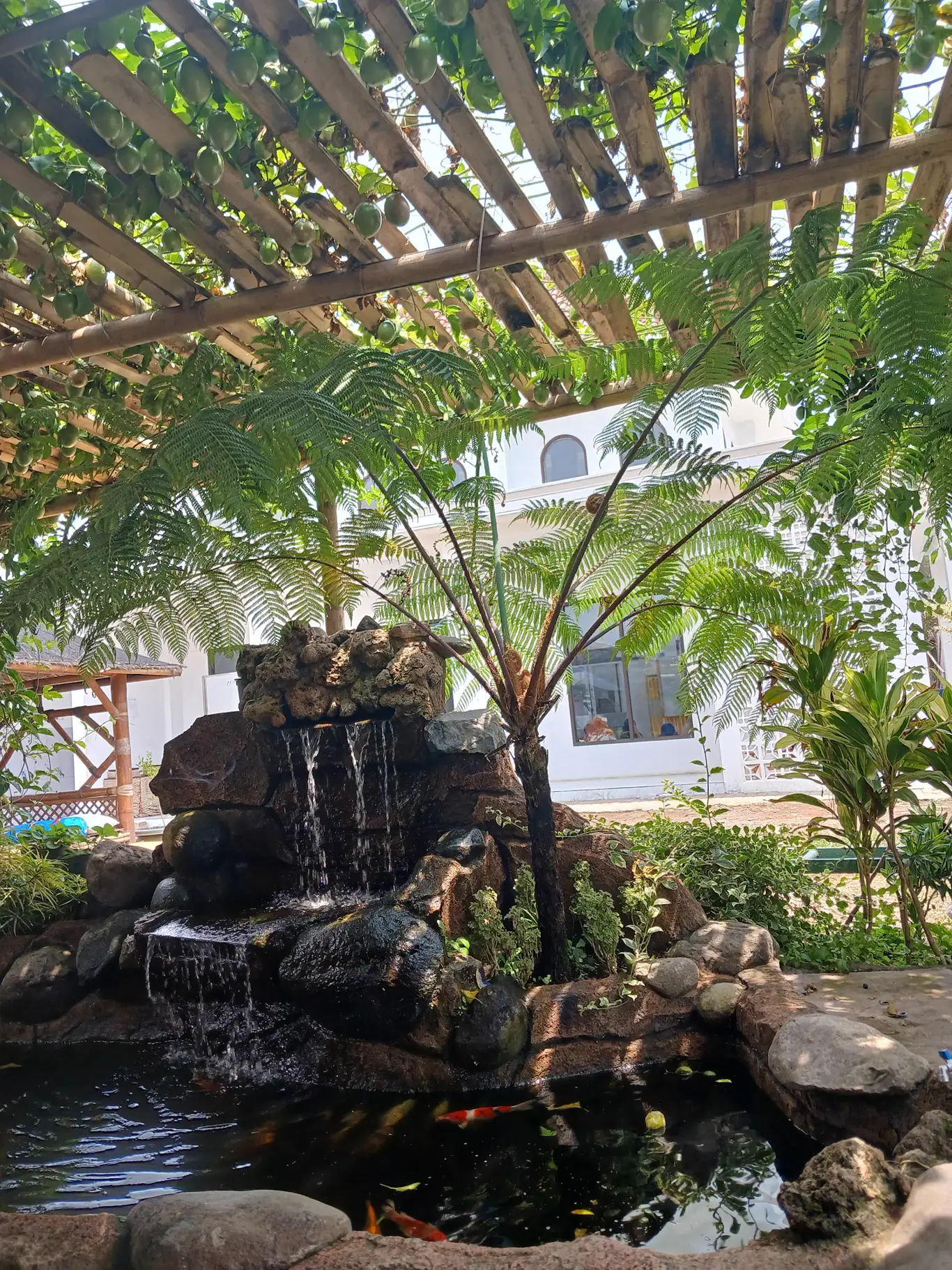 Taman dan kolam di lingkungan pondok